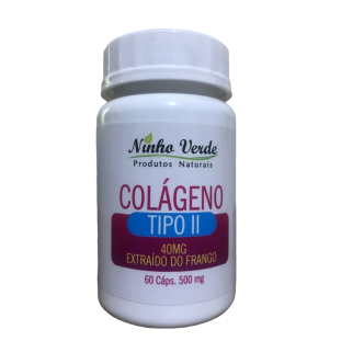 Colágeno Tipo 2 60 caps 500mg