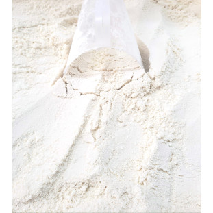 Whey Protein