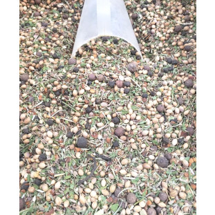 Tempero Baiano com Pimenta Grão