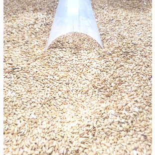 Semente de Linhaça Dourada