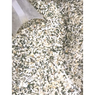 Salsa, Cebola e Alho