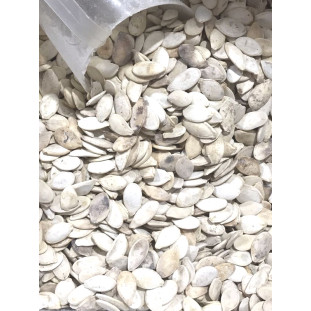 Semente de Abobora Torrada c. Sal