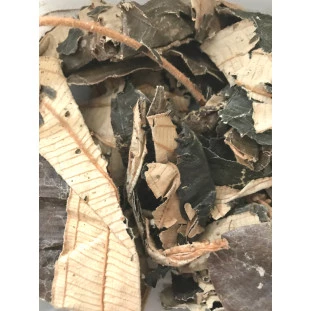 Canela de Velho