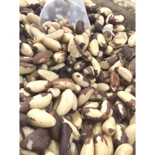 Castanha do Para