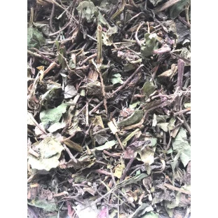 Centella Asiática