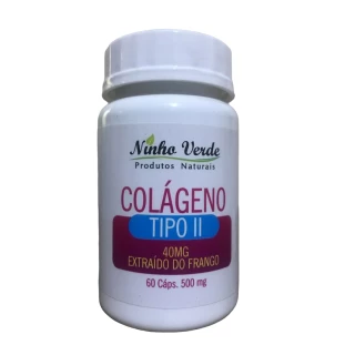 Colágeno Tipo 2 60 caps 500mg