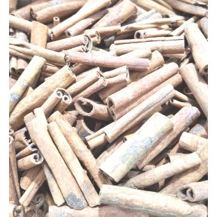 Canela Jawa 6cm
