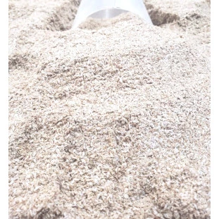 Psyllium