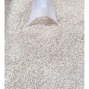 Quinoa em Grão