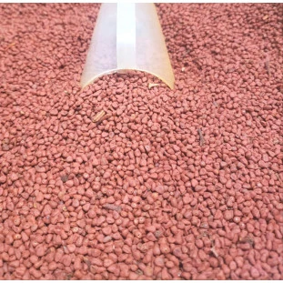 Semente de Urucum